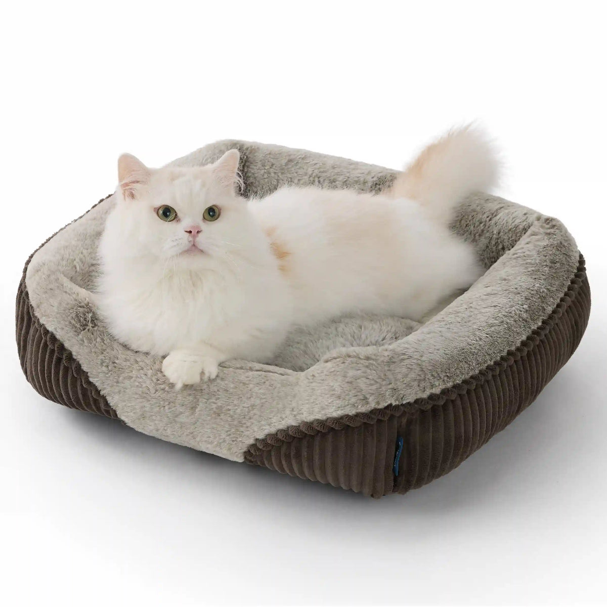 Rectangle Pet Bed
