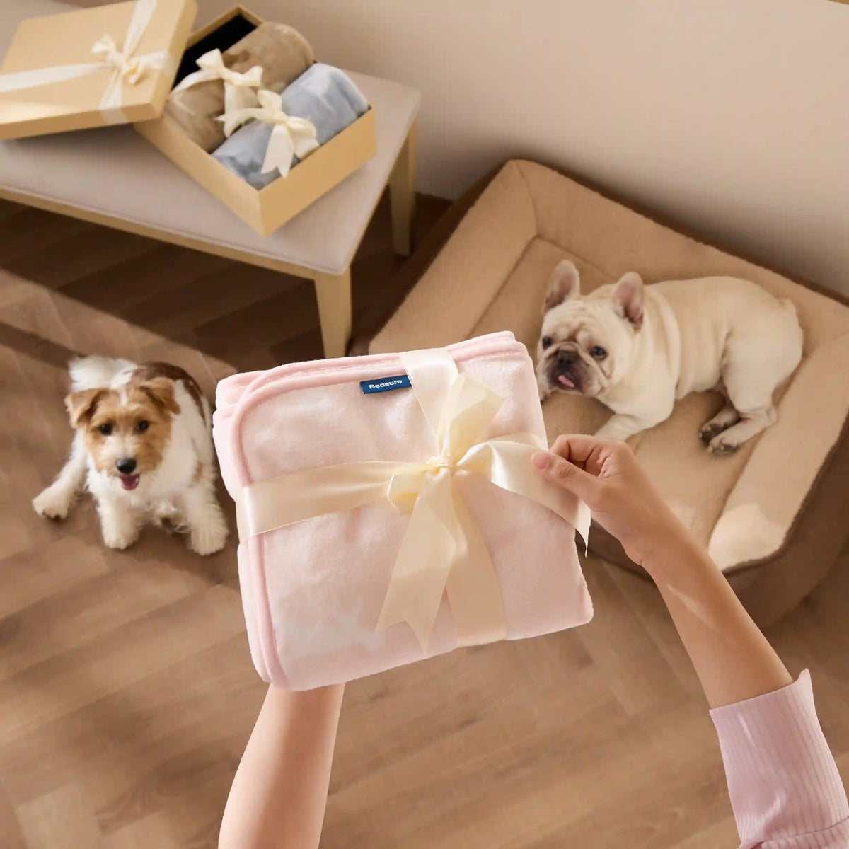 Pet Blankets Three-Pack