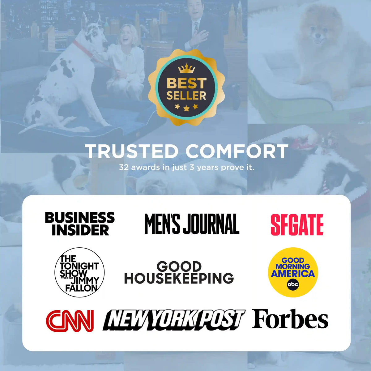 Orthopedic Cooling Pet Sofa