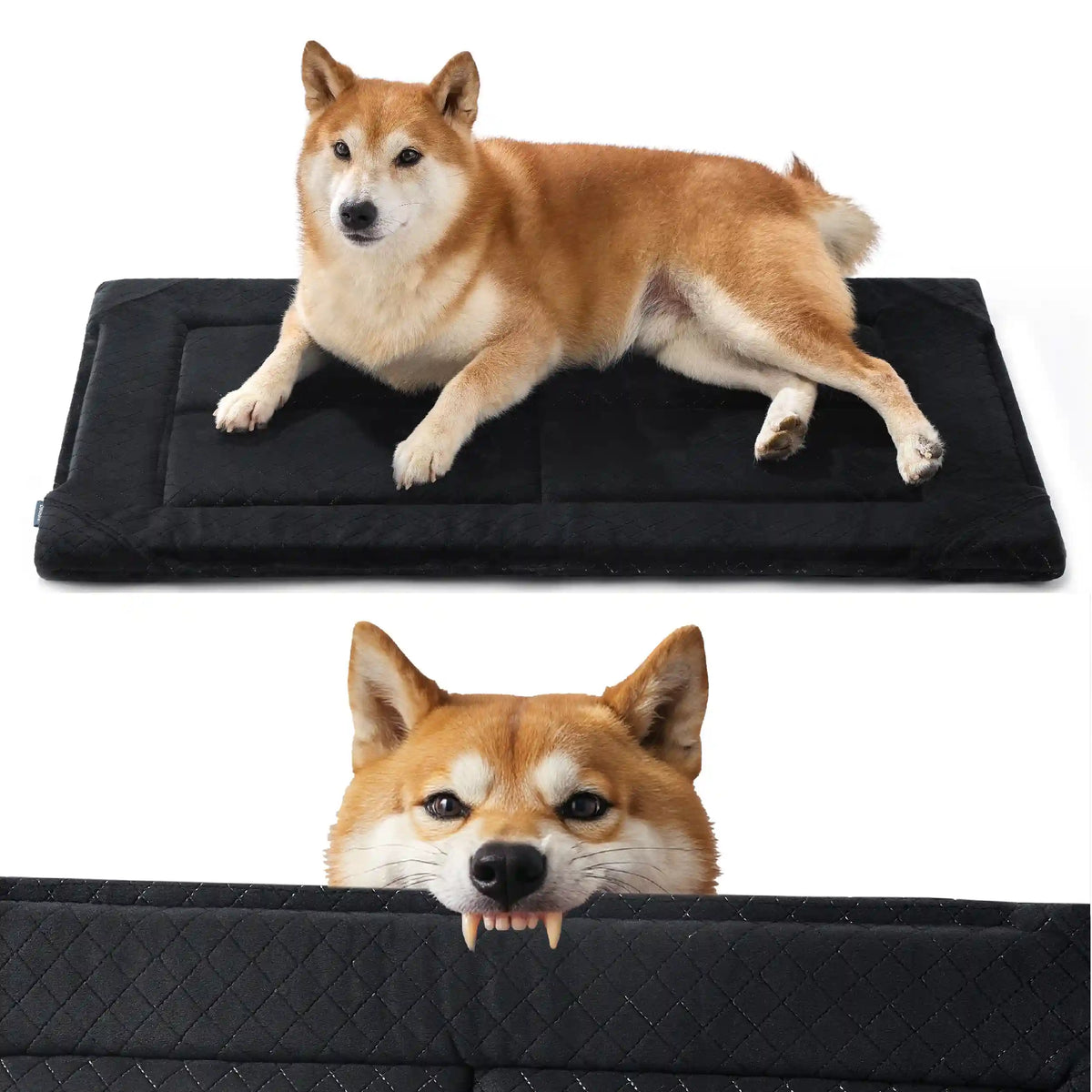 Chew-Resistant Comfy Dog Mat