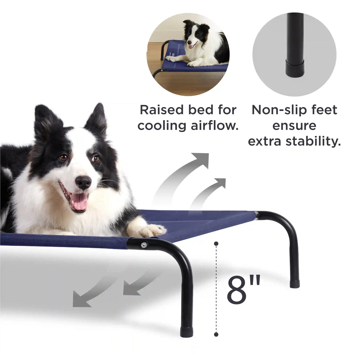 Elevated Dog Bed